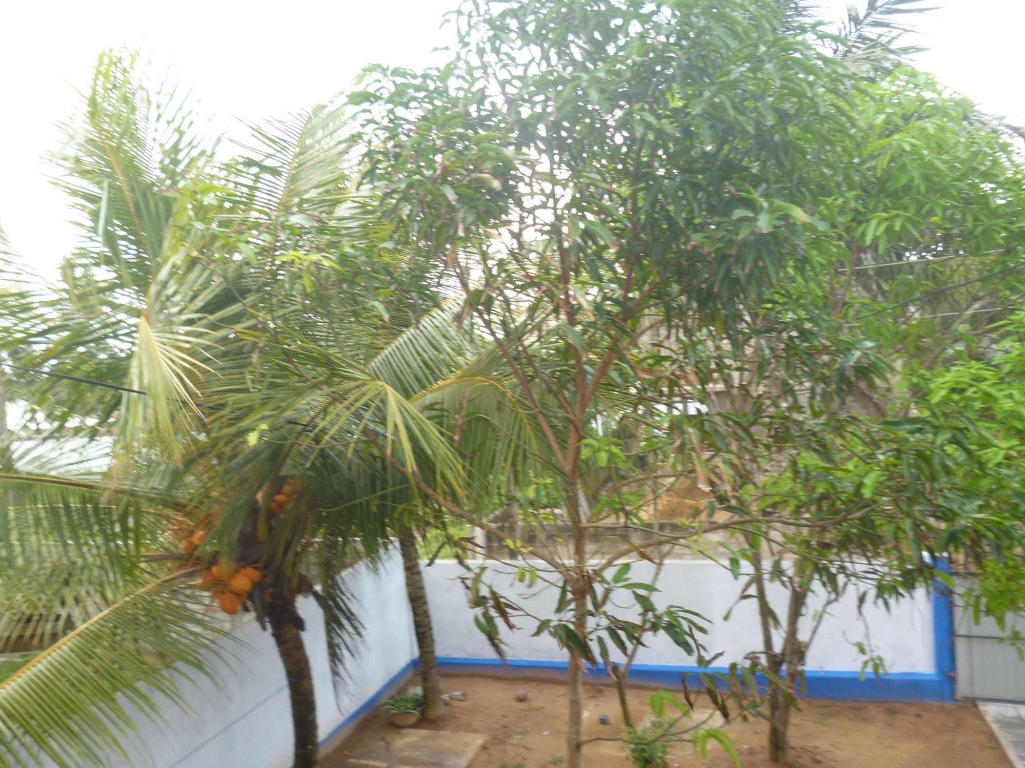 Seaview Paradise Inn Weligama Εξωτερικό φωτογραφία